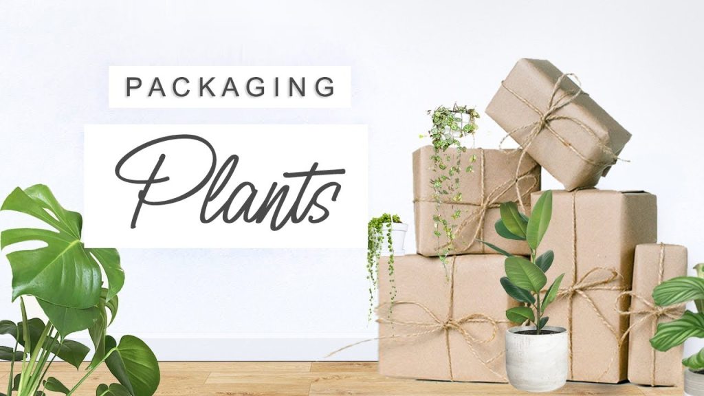 Plant Shipping