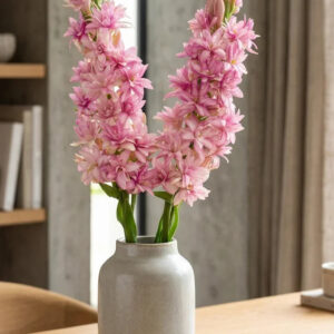 Pink hyacinth flowers in a ceramic vase on a wooden table with a hand writing in a notebook.